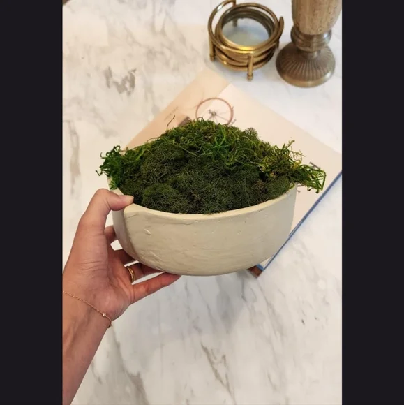 HANDMADE Preserved Moss Bowl Centerpiece